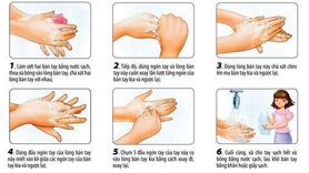 Quy trình rửa tay 6 bước