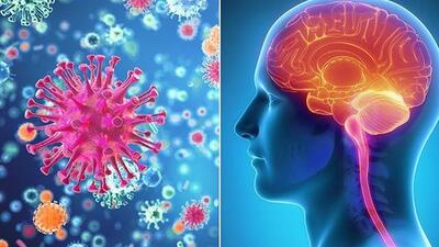 Viêm màng não - viêm não: Chẩn đoán và phân biệt