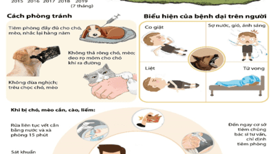 Cảnh báo phòng chống bệnh dại: Vai trò của truyền thông giáo dục sức khỏe