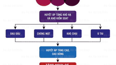Huyết Áp Cao và Giấc Ngủ Xấu: Vòng Xoắn Bệnh Lý Nguy Hiểm