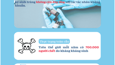 Hiểu đúng và sử dụng kháng sinh hợp lý – Chìa khóa ngăn chặn kháng thuốc