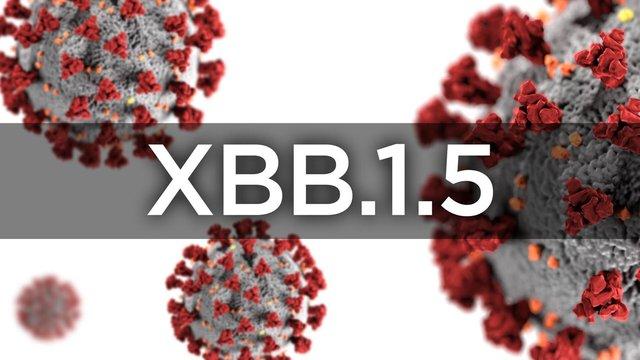 Làm thế nào để biết bạn nhiễm biến thể XBB, XBB.1.5 hay BA.5? - Ảnh 2.