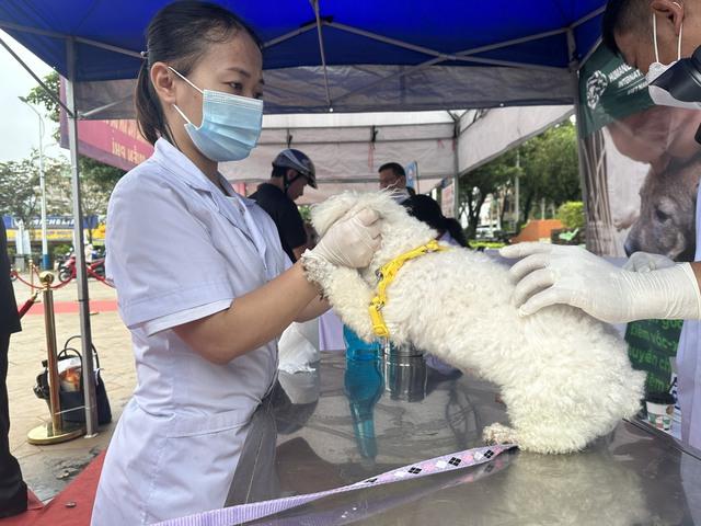 Lễ mít tinh phòng chống bệnh dại 2023: Mỗi người dân là một chiến sĩ trên mặt trận phòng chống dịch bệnh - Ảnh 5.