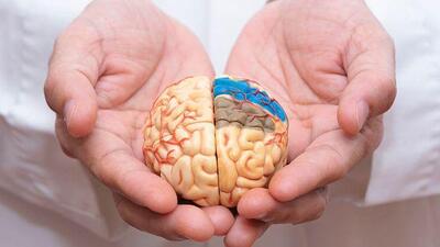 Nguyên nhân phổ biến gây đột quỵ và “thời gian vàng” trong cấp cứu