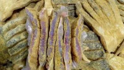 Bộ Y tế vào cuộc vụ người dân nghi ngộ độc sau ăn cá ủ chua