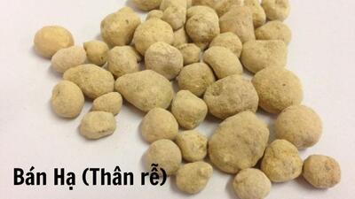 7 món ăn, bài thuốc giúp giảm trào ngược dạ dày - thực quản