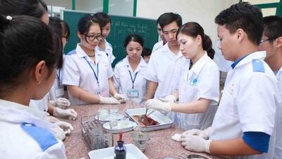 Chuẩn hóa năng lực cán bộ y tế: Bộ Y tế thúc đẩy đào tạo liên tục trên toàn quốc