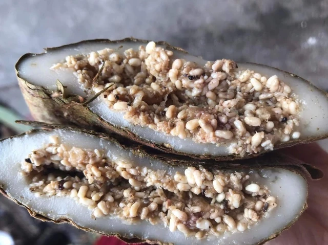 'Thủ phạm' gây dị ứng trong món bánh trứng kiến độc đáo?