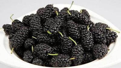 Cách dùng quả dâu tằm hỗ trợ giấc ngủ