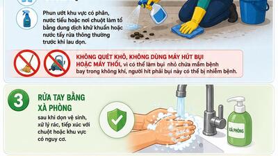 [Infographic] 5 khuyến cáo phòng bệnh virus Hanta