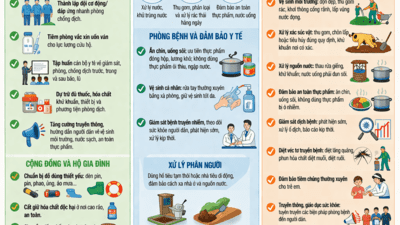 Chủ động phòng, chống dịch bệnh trước, trong và sau bão, lũ: Bảo vệ sức khỏe cộng đồng từ sớm