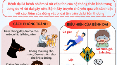 infographic "Phòng, chống bệnh dại"