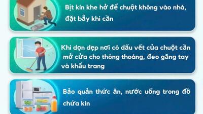 infographic "Phòng bệnh do Virut Hanta"