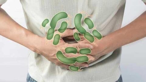 8 cách phòng ngừa ngộ độc thực phẩm mùa hè hiệu quả