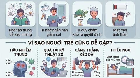 NÃO BỘ BỊ “LAG”? – KHI SƯƠNG MÙ NÃO KHÔNG CÒN LÀ CHUYỆN CỦA RIÊNG NGƯỜI GIÀ
