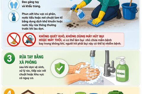 [Infographic] 5 khuyến cáo phòng bệnh virus Hanta