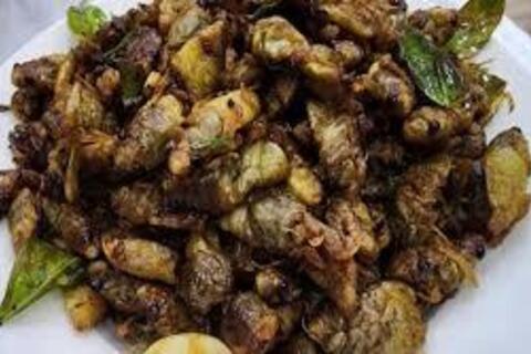 Bộ Y tế yêu cầu xác minh, xử lý vụ 9 người nhập viện sau khi ăn ve sầu ở Quảng Trị