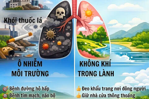 infographic "Không khí sạch - Lá phổi xanh"