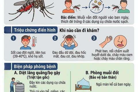 infographic "Phòng, chống dịch bệnh sốt xuất huyết"