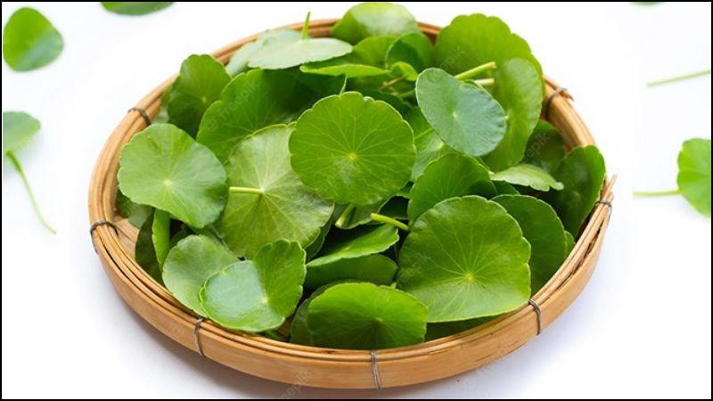 5 bài thuốc dân gian từ bắp cải- Ảnh 2.