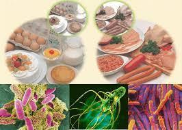 Bộ trưởng Bộ Y tế yêu cầu siết chặt phòng dịch, an toàn thực phẩm dịp Tết Nguyên đán 2026- Ảnh 2. Bộ trưởng Bộ Y tế yêu cầu siết chặt phòng dịch, an toàn thực phẩm dịp Tết Nguyên đán 2026- Ảnh 2.