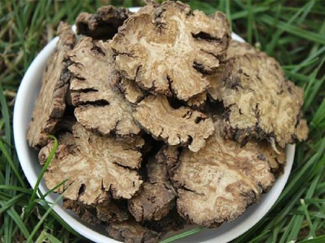 7 vị thuốc giúp giảm đau cơ hiệu quả trong mùa lạnh- Ảnh 6.